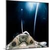 Spacelab SLS-1 View with Light Reflections-null-Mounted Premium Photographic Print