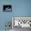 SpaceShipOne, Artwork-Henning Dalhoff-Framed Premier Image Canvas displayed on a wall