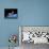SpaceShipOne, Artwork-Henning Dalhoff-Framed Premier Image Canvas displayed on a wall