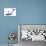SpaceShipOne Re-entry, Artwork-Detlev Van Ravenswaay-Photographic Print displayed on a wall