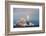 Spacex Crs-10 Launch-null-Framed Photographic Print