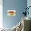 Spaghetti Bolognese-null-Art Print displayed on a wall