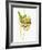 Spaghetti with Rocket on Spaghetti Server-Marc O^ Finley-Framed Photographic Print