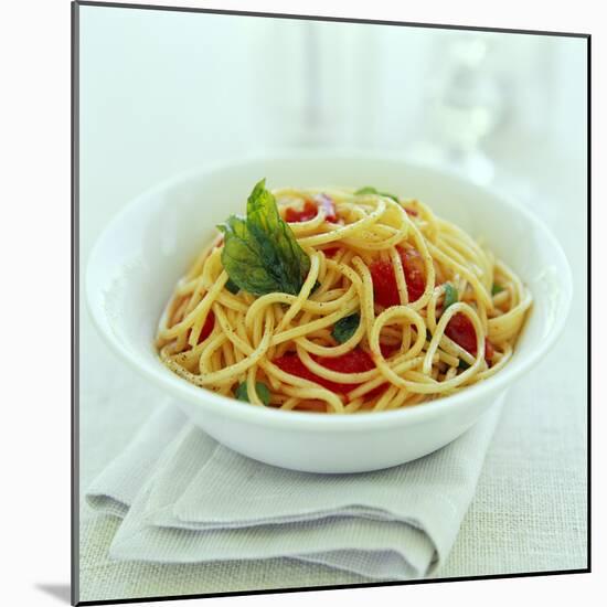 Spaghetti-David Munns-Mounted Premium Photographic Print