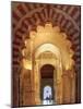 Spain, Andalucia, Cordoba, Mezquita Catedral (Mosque - Cathedral) (UNESCO Site)-Michele Falzone-Mounted Photographic Print