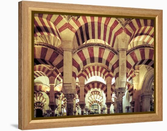 Spain, Andalucia, Cordoba, Mezquita Catedral (Mosque - Cathedral) (UNESCO Site)-Michele Falzone-Framed Premier Image Canvas