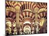 Spain, Andalucia, Cordoba, Mezquita Catedral (Mosque - Cathedral) (UNESCO Site)-Michele Falzone-Mounted Photographic Print