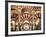 Spain, Andalucia, Cordoba, Mezquita Catedral (Mosque - Cathedral) (UNESCO Site)-Michele Falzone-Framed Photographic Print