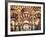 Spain, Andalucia, Cordoba, Mezquita Catedral (Mosque - Cathedral) (UNESCO Site)-Michele Falzone-Framed Photographic Print