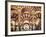 Spain, Andalucia, Cordoba, Mezquita Catedral (Mosque - Cathedral) (UNESCO Site)-Michele Falzone-Framed Photographic Print