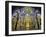 Spain, Andalucia, Cordoba Province, Cordoba, Mezquita, Cathedral of Cordoba-Alan Copson-Framed Photographic Print