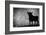 Spain, Andalucia, Jerez De la Frontera, El Cuadrejon, An Osborne Bull or Toro De Osborne-Alan Copson-Framed Photographic Print