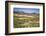 Spain, Andalucia. Olive Trees Endless Field in Summer.-Francesco Riccardo Iacomino-Framed Photographic Print