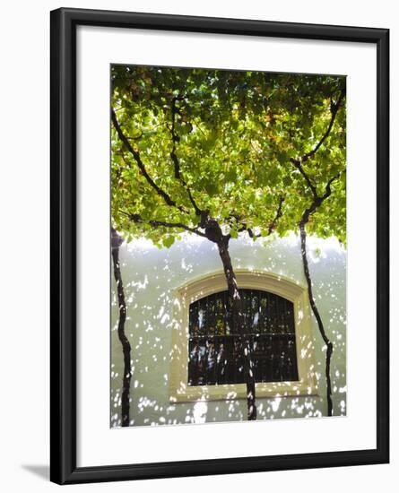 Spain, Andalucia Region, Cadiz Province, Sherry Triangle Area, Jerez De La Frontera, Bodegas Gonzal-Walter Bibikow-Framed Premium Photographic Print