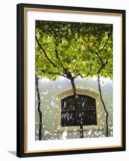 Spain, Andalucia Region, Cadiz Province, Sherry Triangle Area, Jerez De La Frontera, Bodegas Gonzal-Walter Bibikow-Framed Premium Photographic Print