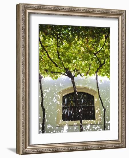 Spain, Andalucia Region, Cadiz Province, Sherry Triangle Area, Jerez De La Frontera, Bodegas Gonzal-Walter Bibikow-Framed Photographic Print