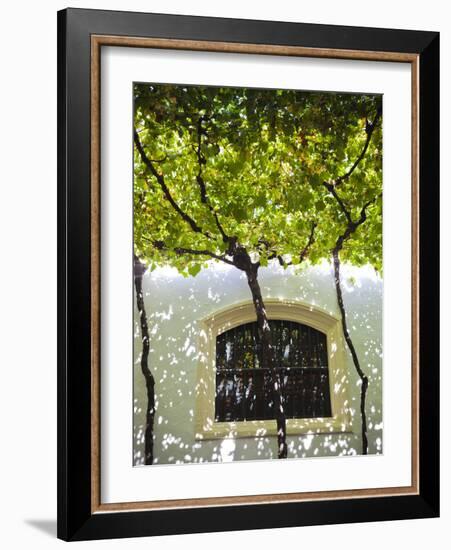 Spain, Andalucia Region, Cadiz Province, Sherry Triangle Area, Jerez De La Frontera, Bodegas Gonzal-Walter Bibikow-Framed Photographic Print