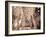 Spain, Andalucia, Ronda, Arab Baths (Spain Largest)-Michele Falzone-Framed Photographic Print