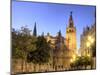 Spain, Andalucia, Sevilla, Cathedral and Giralda Tower-Michele Falzone-Mounted Photographic Print
