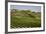 Spain, Andalusia, Cadiz Province. Vineyard field and olive grove.-Julie Eggers-Framed Photographic Print