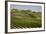 Spain, Andalusia, Cadiz Province. Vineyard field and olive grove.-Julie Eggers-Framed Photographic Print