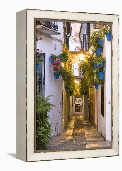 Spain, Andalusia, Cordoba. Calleja De Las Flores (Street of the Flowers) in the Old Town, at Dusk-Matteo Colombo-Framed Premier Image Canvas