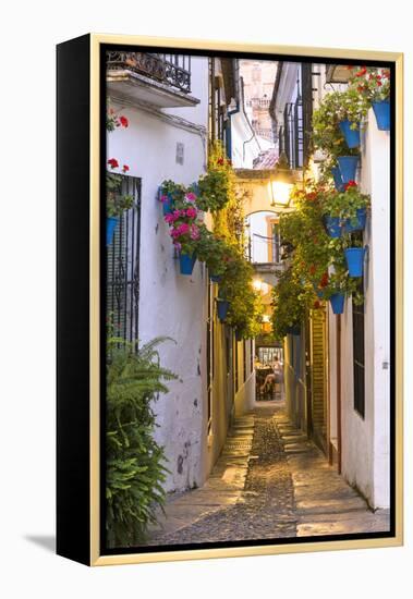 Spain, Andalusia, Cordoba. Calleja De Las Flores (Street of the Flowers) in the Old Town, at Dusk-Matteo Colombo-Framed Premier Image Canvas