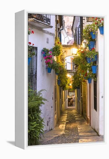 Spain, Andalusia, Cordoba. Calleja De Las Flores (Street of the Flowers) in the Old Town, at Dusk-Matteo Colombo-Framed Premier Image Canvas