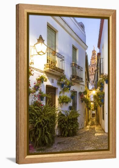 Spain, Andalusia, Cordoba. Calleja De Las Flores (Street of the Flowers) in the Old Town, at Dusk-Matteo Colombo-Framed Premier Image Canvas