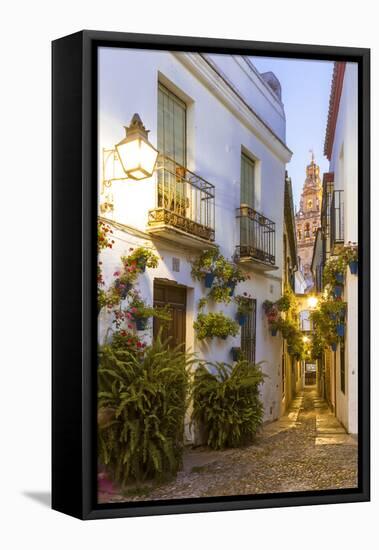 Spain, Andalusia, Cordoba. Calleja De Las Flores (Street of the Flowers) in the Old Town, at Dusk-Matteo Colombo-Framed Premier Image Canvas