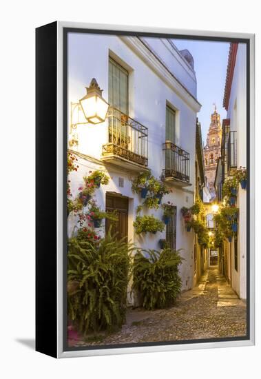 Spain, Andalusia, Cordoba. Calleja De Las Flores (Street of the Flowers) in the Old Town, at Dusk-Matteo Colombo-Framed Premier Image Canvas