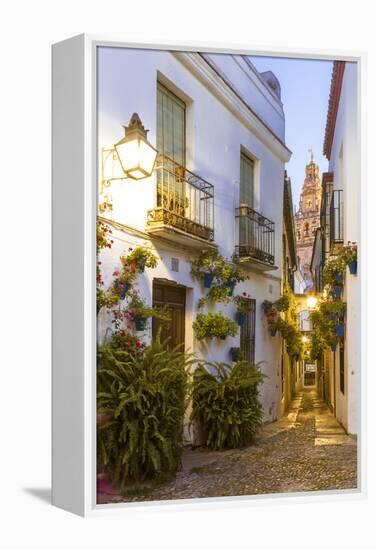 Spain, Andalusia, Cordoba. Calleja De Las Flores (Street of the Flowers) in the Old Town, at Dusk-Matteo Colombo-Framed Premier Image Canvas