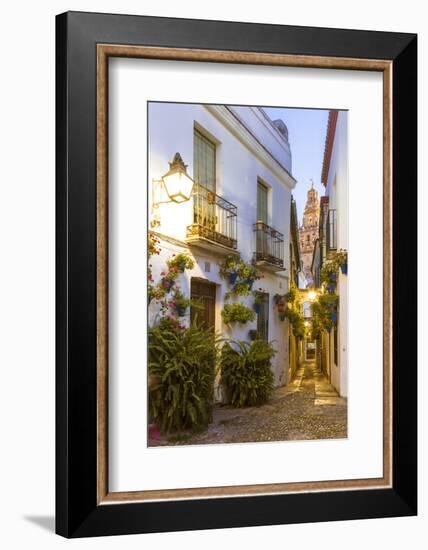 Spain, Andalusia, Cordoba. Calleja De Las Flores (Street of the Flowers) in the Old Town, at Dusk-Matteo Colombo-Framed Photographic Print