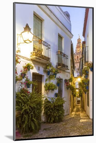 Spain, Andalusia, Cordoba. Calleja De Las Flores (Street of the Flowers) in the Old Town, at Dusk-Matteo Colombo-Mounted Photographic Print