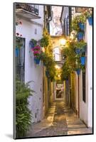 Spain, Andalusia, Cordoba. Calleja De Las Flores (Street of the Flowers) in the Old Town, at Dusk-Matteo Colombo-Mounted Photographic Print