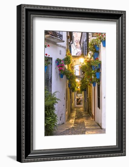 Spain, Andalusia, Cordoba. Calleja De Las Flores (Street of the Flowers) in the Old Town, at Dusk-Matteo Colombo-Framed Photographic Print