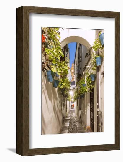 Spain, Andalusia, Cordoba. Calleja De Las Flores (Street of the Flowers) in the Old Town, at Dusk-Matteo Colombo-Framed Photographic Print