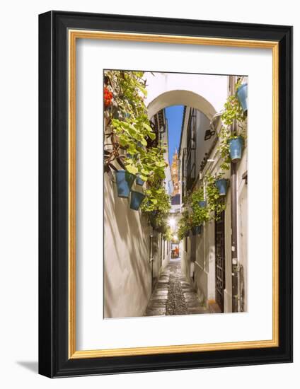 Spain, Andalusia, Cordoba. Calleja De Las Flores (Street of the Flowers) in the Old Town, at Dusk-Matteo Colombo-Framed Photographic Print