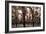 Spain, Andalusia, Cordoba, Historic Centre, Great Mosque or Mezquita-null-Framed Giclee Print