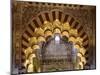 Spain, Andalusia, Cordoba. Interior of the Mezquita (Mosque) of Cordoba-Matteo Colombo-Mounted Photographic Print