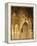 Spain, Andalusia, Granada, Alhambra, Lion's Court-Thonig-Framed Premier Image Canvas