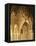 Spain, Andalusia, Granada, Alhambra, Lion's Court-Thonig-Framed Premier Image Canvas