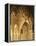 Spain, Andalusia, Granada, Alhambra, Lion's Court-Thonig-Framed Premier Image Canvas