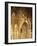 Spain, Andalusia, Granada, Alhambra, Lion's Court-Thonig-Framed Photographic Print