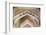 Spain, Andalusia, Granada. the Alhambra. Ornate Arches Inside the Alhambra-Matteo Colombo-Framed Photographic Print