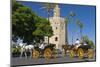 Spain, Andalusia, Seville, Arabian Tower, Torre Del Oro, Horse-Drawn Carriages-Chris Seba-Mounted Photographic Print