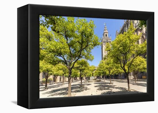 Spain, Andalusia, Seville. Patio De Los Naranjos in the Cathedral and Giralda Tower-Matteo Colombo-Framed Premier Image Canvas