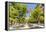 Spain, Andalusia, Seville. Patio De Los Naranjos in the Cathedral and Giralda Tower-Matteo Colombo-Framed Premier Image Canvas