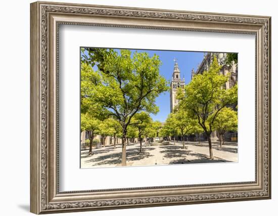 Spain, Andalusia, Seville. Patio De Los Naranjos in the Cathedral and Giralda Tower-Matteo Colombo-Framed Photographic Print