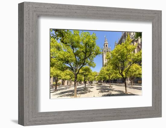 Spain, Andalusia, Seville. Patio De Los Naranjos in the Cathedral and Giralda Tower-Matteo Colombo-Framed Photographic Print